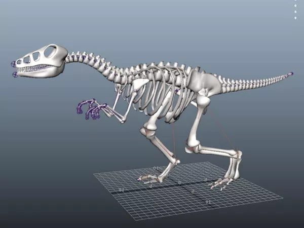 Skeletal Dinosaur Rig 3d model Skeletal Dinosaur Rig 3d model