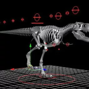 Skeletal Tyrannosaurus Rex Rigged 3d model