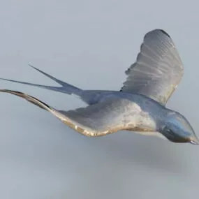Small Bird 3d model