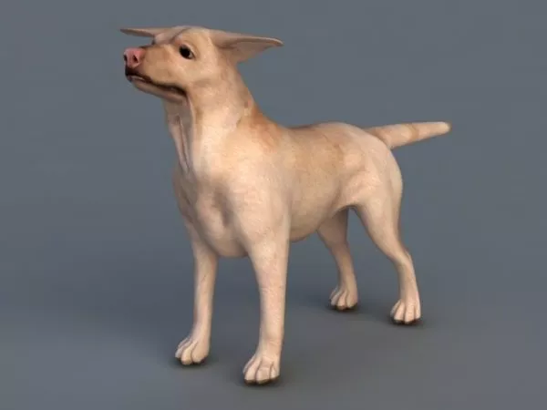 Small Tan Dog 3d model Small Tan Dog 3d model