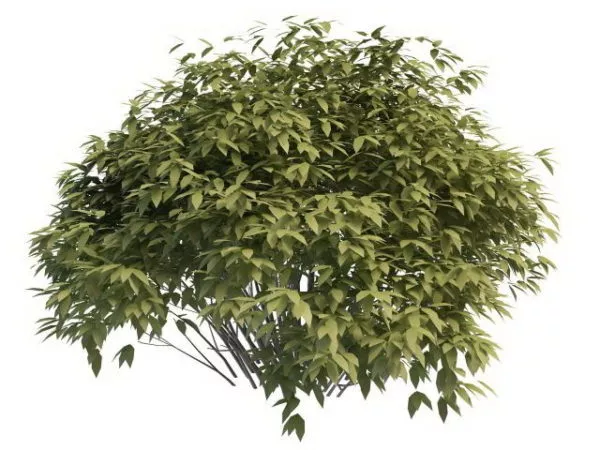 Small Bush Tree 3d model Small Bush Tree 3d model