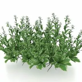 Small Flower Plants 3d model