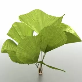 Small Palm Tree 3d model