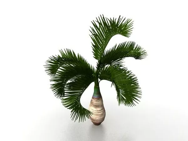 Small Palm Tree For Landscaping 3d model Small Palm Tree For Landscaping 3d model