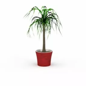 Small Potted Tree 3d model