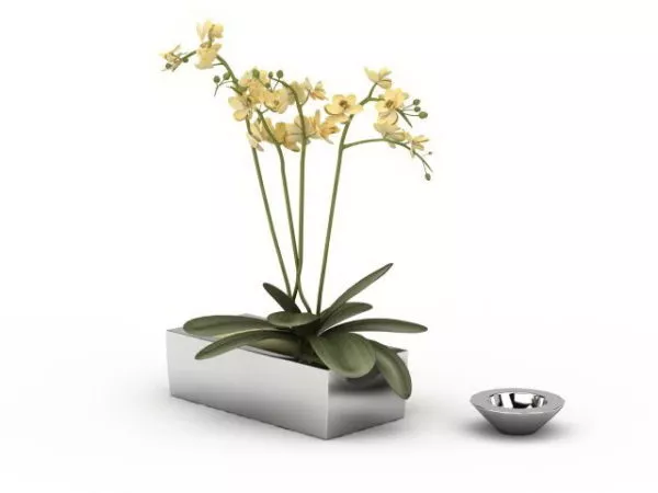 Small Rectangle Flower Pot 3d model Small Rectangle Flower Pot 3d model