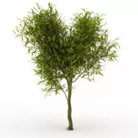Small Willow Tree 3d model