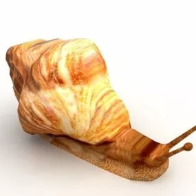Wild Snail Animal 3d model