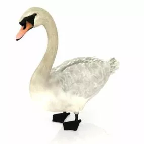 Snow Goose Animal 3d model
