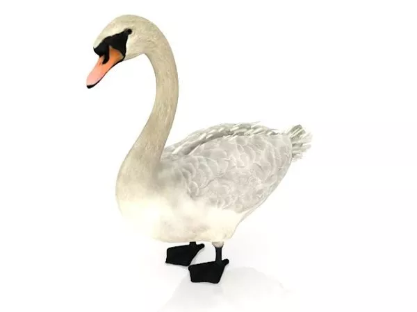 Goose Food 3d model