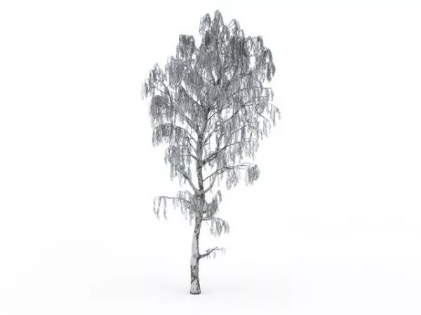 Snow Tree Weeping Willow 3d model Snow Tree Weeping Willow 3d model