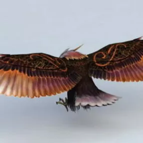Soaring Eagle 3d model