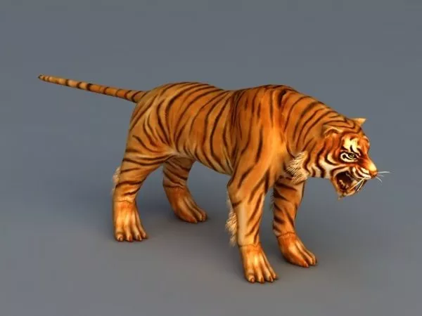 South China Tiger 3d model South China Tiger 3d model