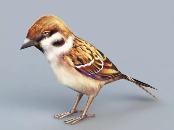 Flock Swallow Bird 3d model
