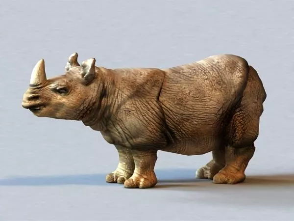Sumatran Rhinoceros 3d model Sumatran Rhinoceros 3d model