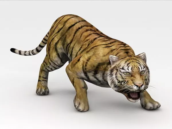 Sumatran Tiger 3d model Sumatran Tiger 3d model