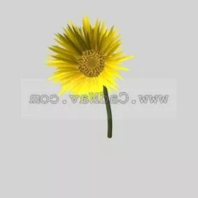 Sunflower Plant 3d model
