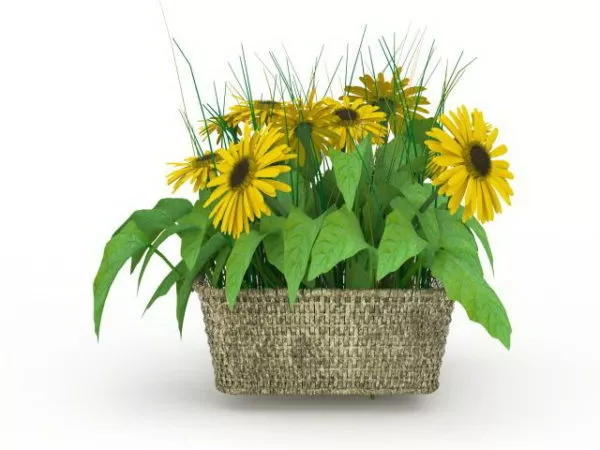 Eco Bamboo Basket 3d model