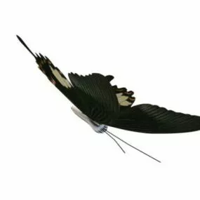 Swallowtail Butterfly Animal 3d model