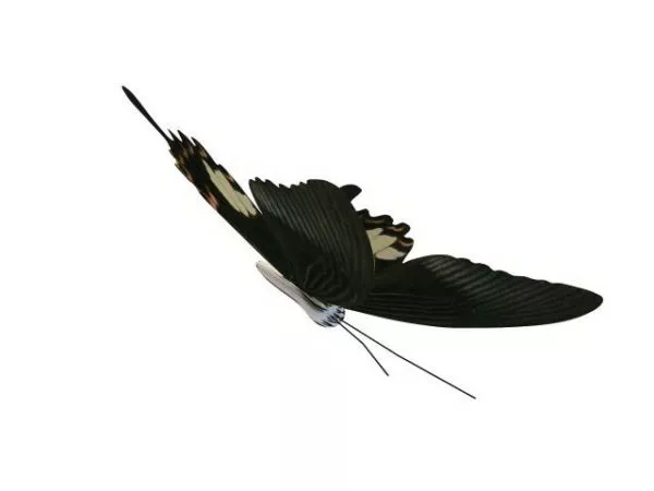 Yellow Red Butterfly Animal 3d model