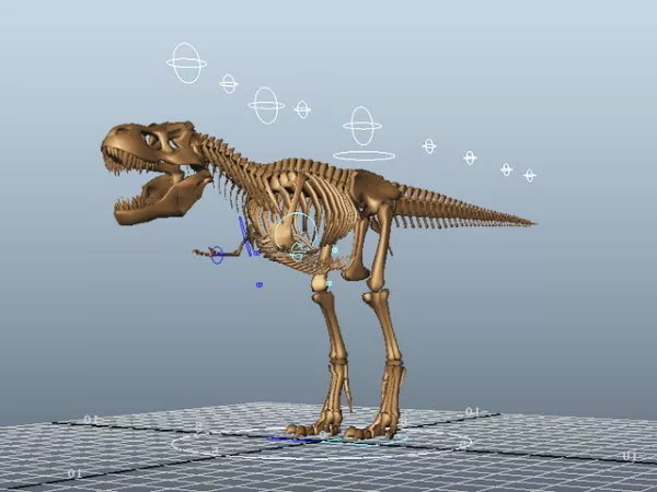 T Rex Dinosaur Animated 3d model