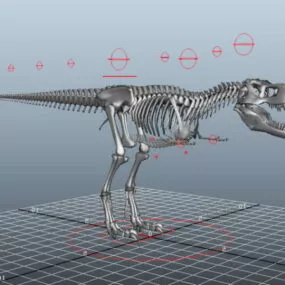 T-rex Skeleton Rigged 3d model