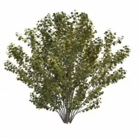 Tall Shrubs For Landscaping 3d model