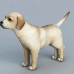 Tan Dog 3d model