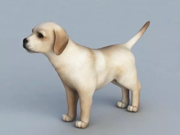 Tan Dog 3d model Tan Dog 3d model
