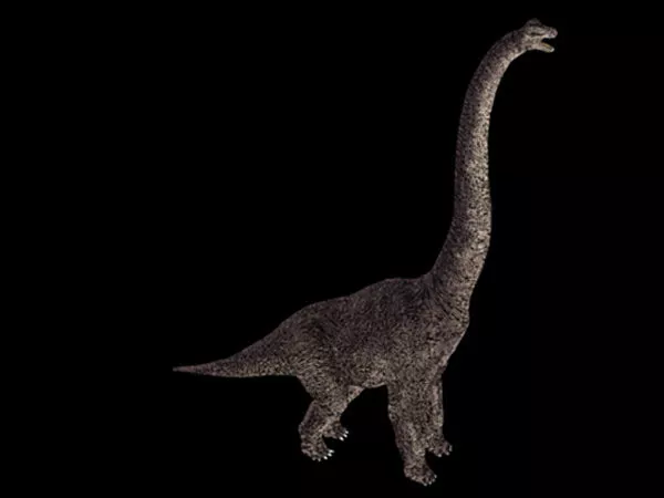 Skeleton Of Dinosaur Bit Game Console 3d model