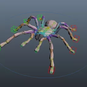 Tarantula Spider Rig 3d model