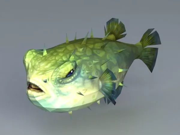 Tetraodontidae Pufferfish 3d model Tetraodontidae Pufferfish 3d model