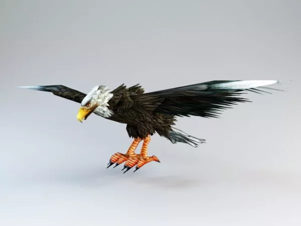 Undead Bird Skeleton 3d model