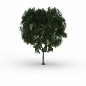 Thick Tree 3d model