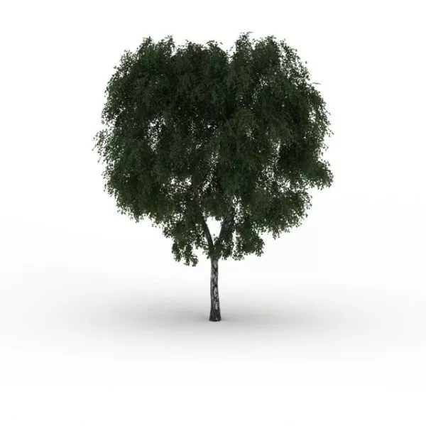 Thick Tree 3d model Thick Tree 3d model