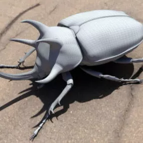 Three Horned Rhinoceros Beetle 3d model