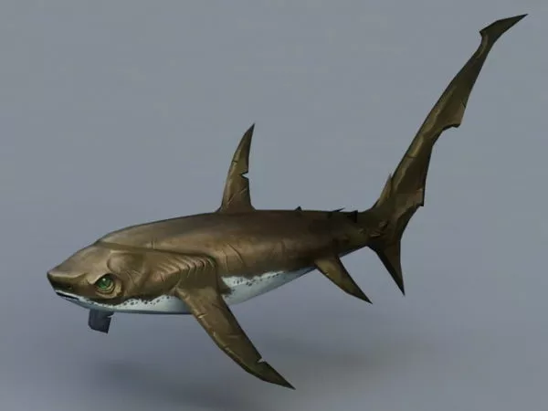 Shark Fossil Sculpture 3d model