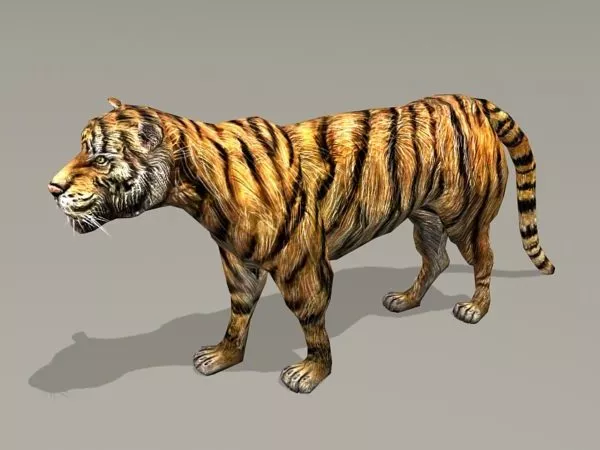 Tiger Rig 3d model Tiger Rig 3d model