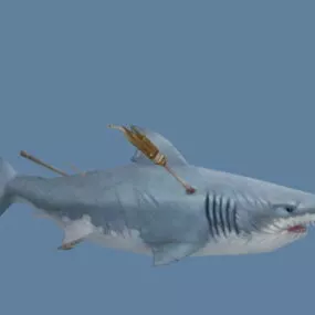 Toothless Shark 3d model