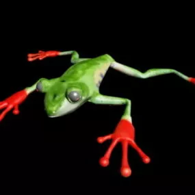 Tree Frog 3d model