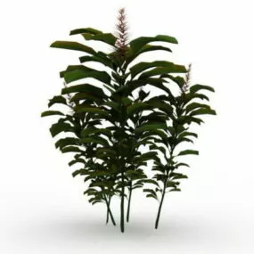 Tree Branch With Leaves 3d model