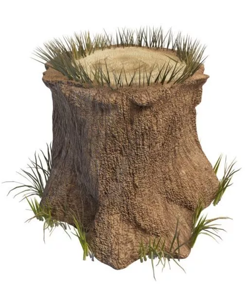 Stump 3d model
