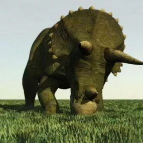 Triceratops Dinosaur 3d model