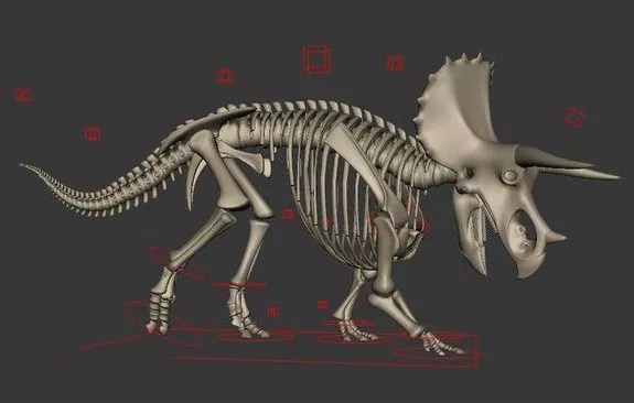 Arm Skeleton Bone 3d model
