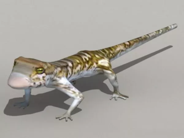 Tropical House Gecko 3d model Tropical House Gecko 3d model