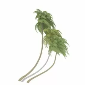 Tropical Coconut Tree 3d model