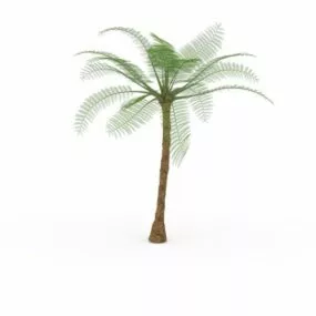 Tropical Palm Tree 3d model