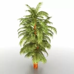 Tropical Tree 3d model