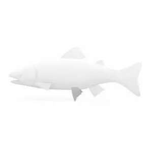 Trout Fish Animal 3d model