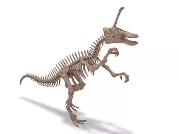 Skeleton Of Dinosaur Bit Game Console 3d model